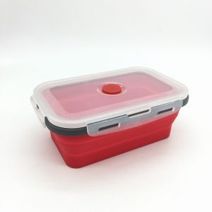 Collapsible Lunch Box