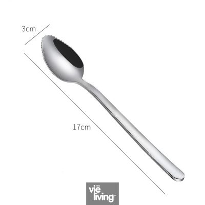 Dessert Spoon 304