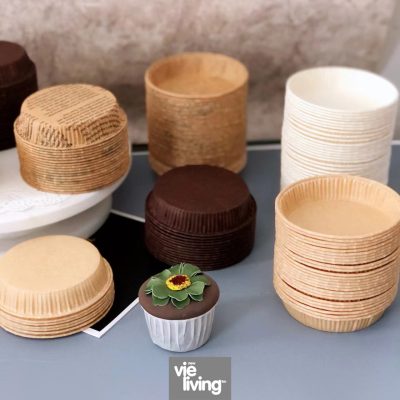 Disposable Food Packaging