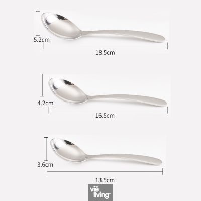 Long Handle Spoon 304