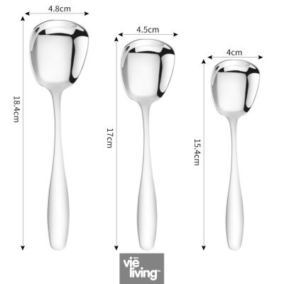 Metal Spoon 304