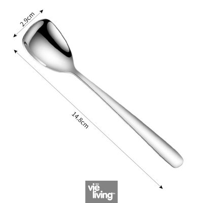 Stainless Steel Spoon 304